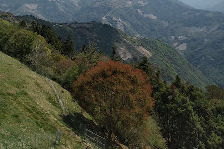 塑料吹瓶机 空压机和吹塑机的结合非常重要