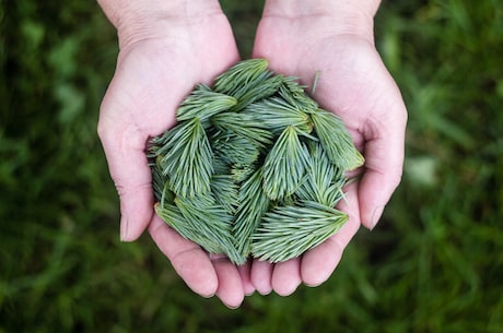 华阳针法：中国传统的拔罐疗法