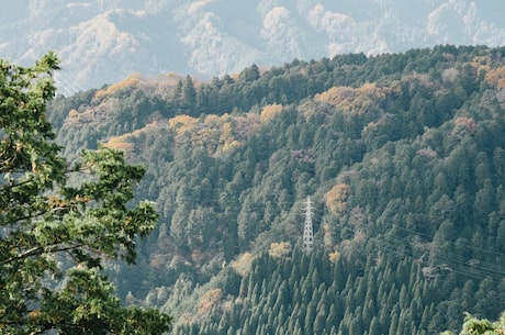 金山寺在哪里？