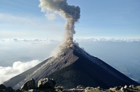 中国火山蚰蜒：生命力顽强的极端生态拓荒者