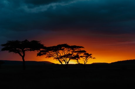 中非伊基塔自然保护区成为世界遗产