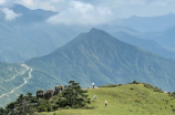 重庆自驾游论坛(重庆自驾游论坛：探索美景，开启自驾之旅)